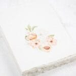 Deckled Peach Card Pack 003 - Image 8